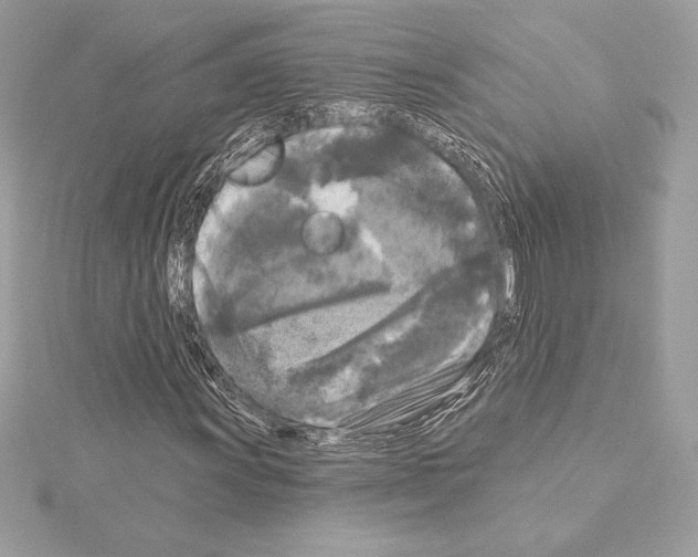 X0000114441011200911271633