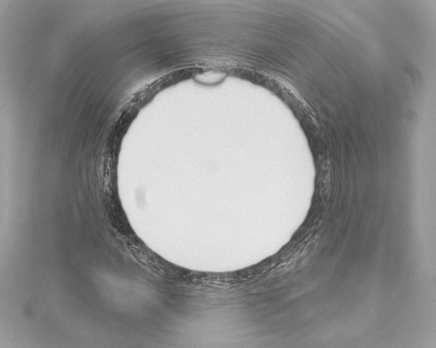 X0000114441016200911271633