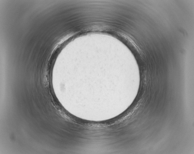 X0000114441018200911271633