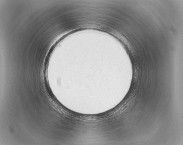 X0000114441020200911271634