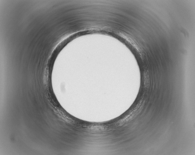 X0000114441021200911271634