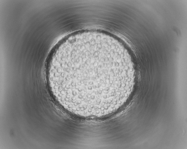 X0000114441022200911271634