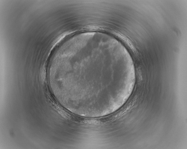 X0000114441023200911271634