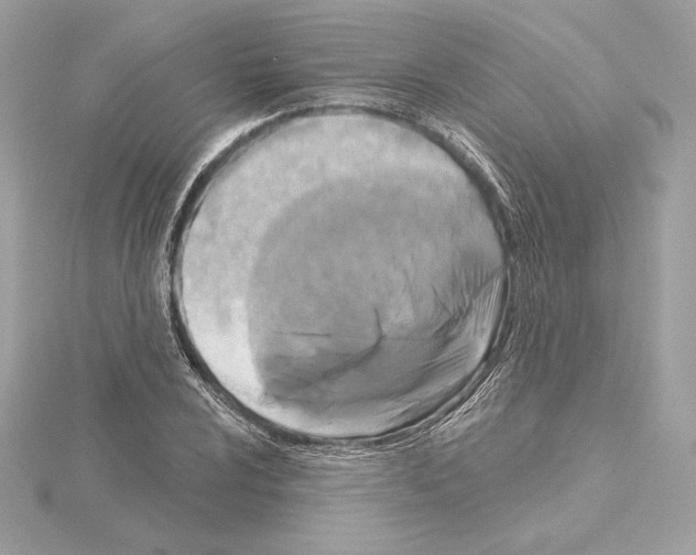 X0000114441024200911271634