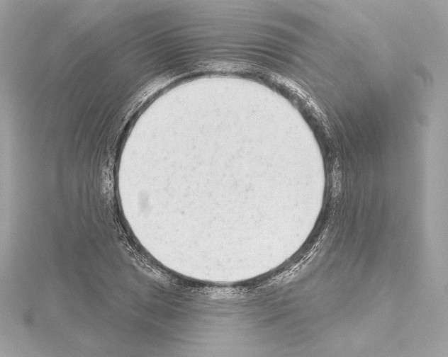 X0000114441025200911271634