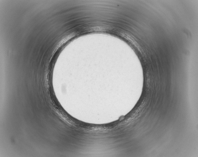 X0000114441026200911271634