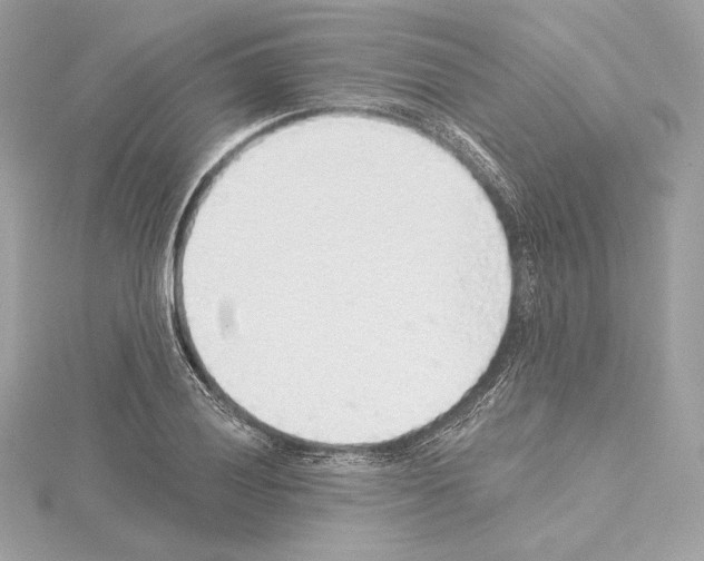X0000114441028200911271634
