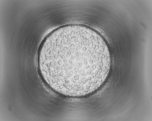X0000114441030200911271634