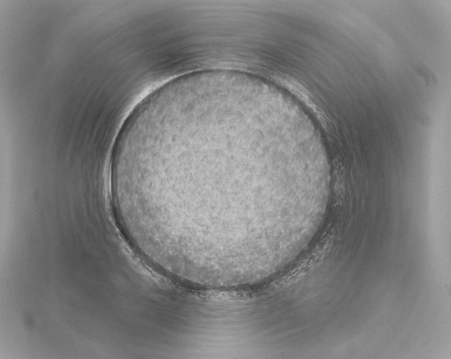 X0000114441032200911271634