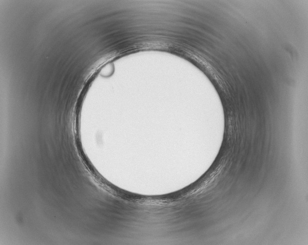 X0000114441034200911271634