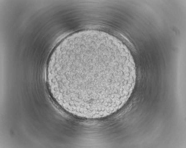 X0000114441036200911271634