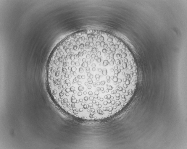 X0000114441040200911271634
