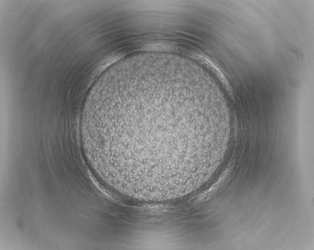 X0000114441041200911271634