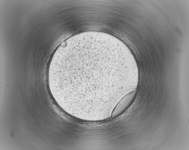 X0000114441042200911271634