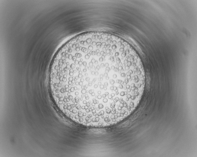X0000114441044200911271634