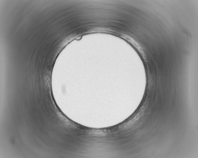 X0000114441049200911271634