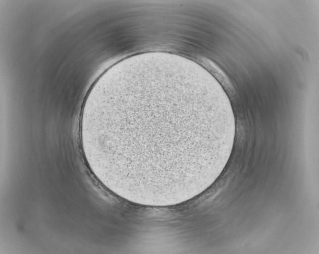X0000114441052200911271634