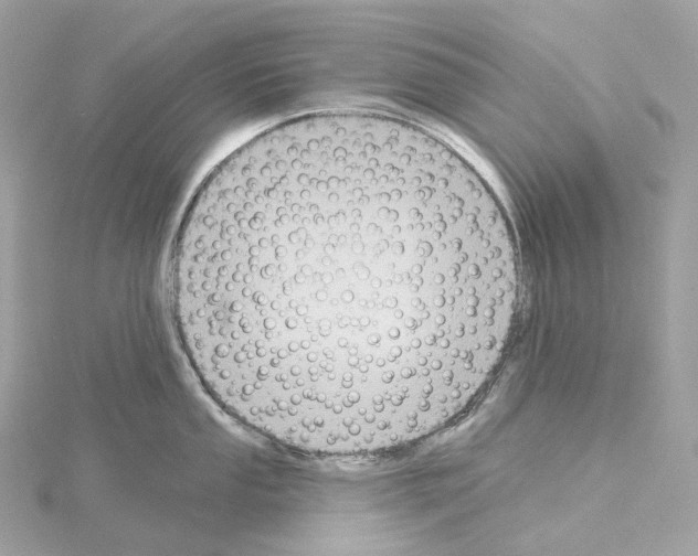 X0000114441053200911271634