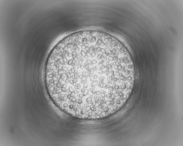 X0000114441054200911271634