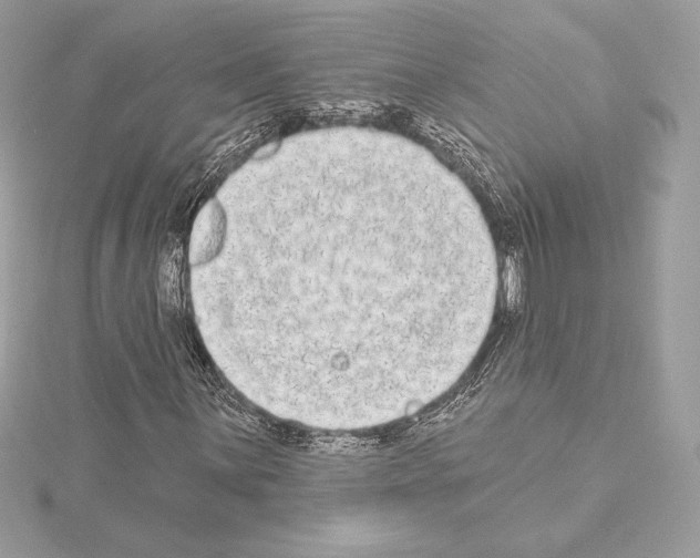 X0000114441059200911271633