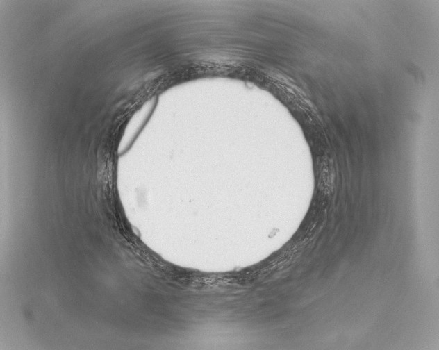 X0000114441061200911271633