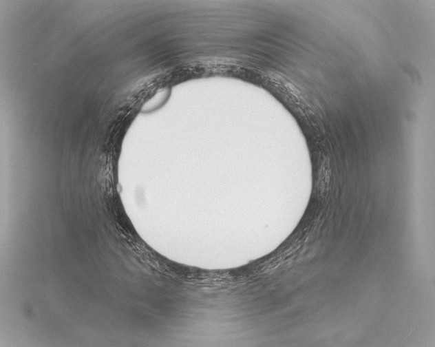 X0000114441062200911271633