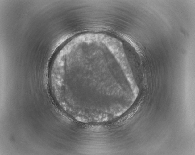 X0000114441071200911271633