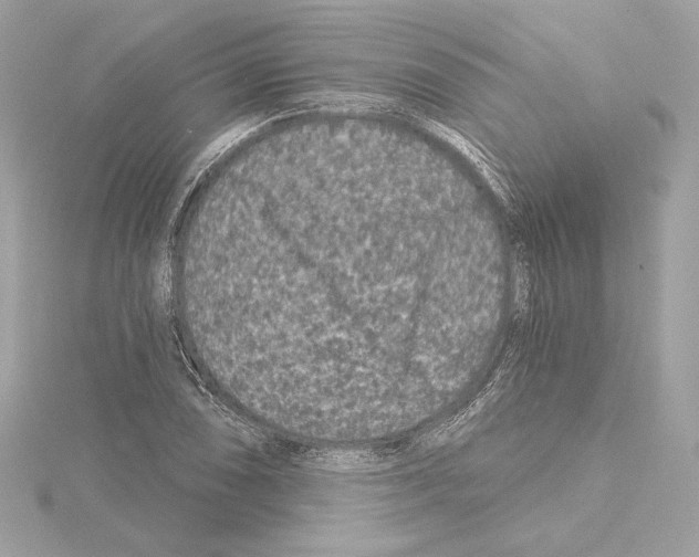 X0000114441074200911271633