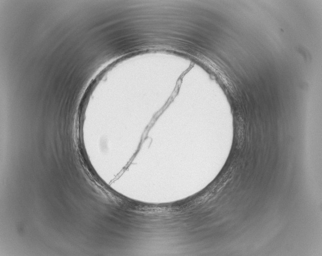 X0000114441076200911271633