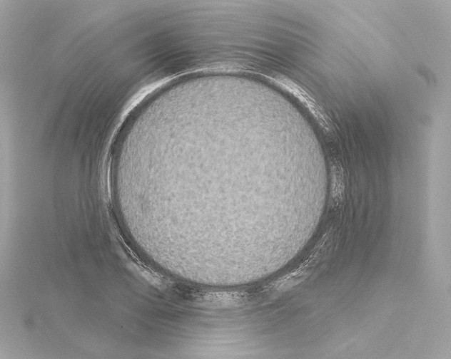 X0000114441078200911271633