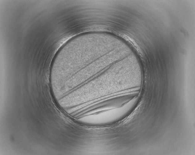 X0000114441081200911271633