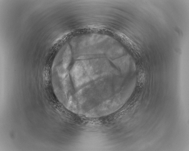 X0000114441110200911271632