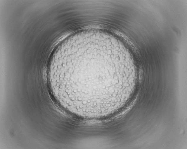 X0000114441113200911271632