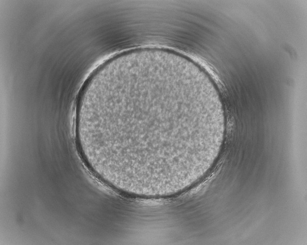 X0000114441126200911271632