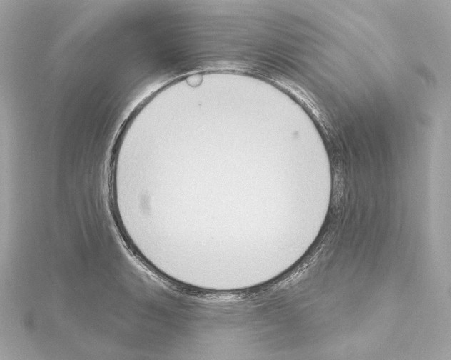 X0000114441135200911271632