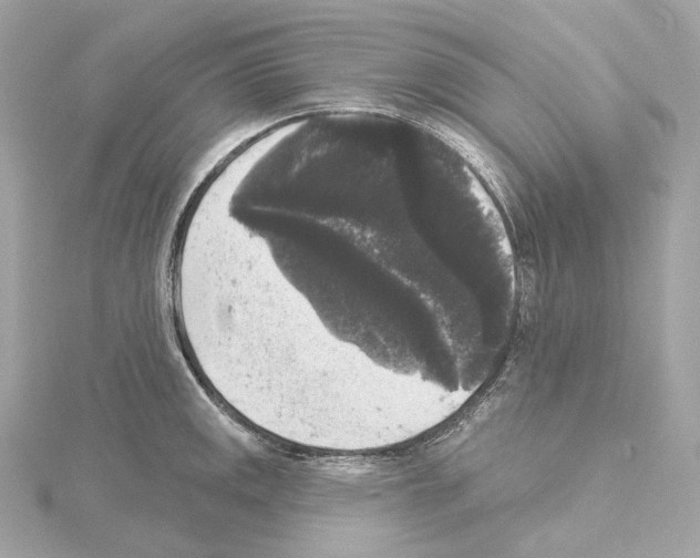 X0000114441141200911271632
