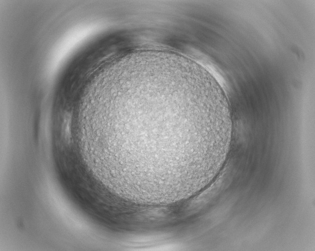 X0000114441150200911271633