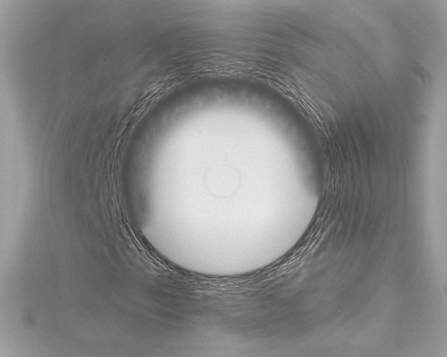 X0000114441153200911271632