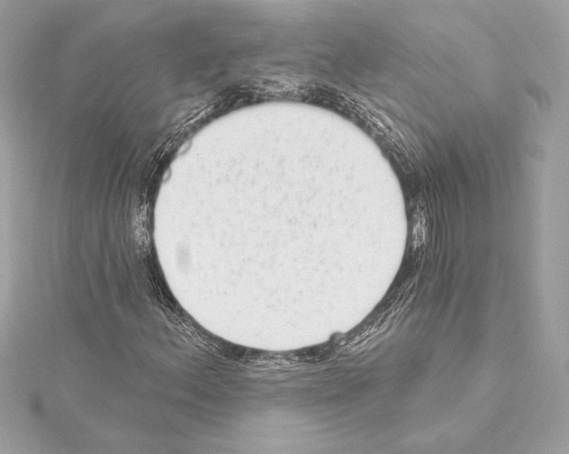 X0000114441156200911271632