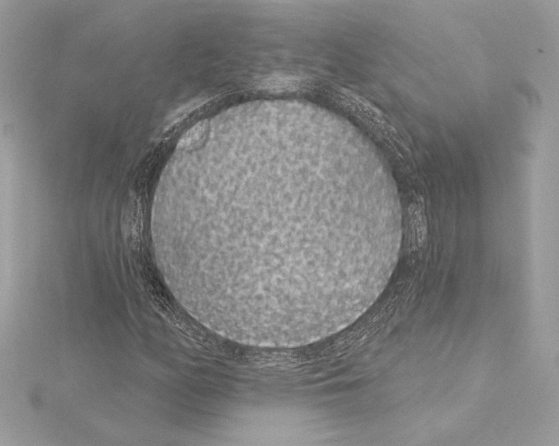 X0000114441158200911271632