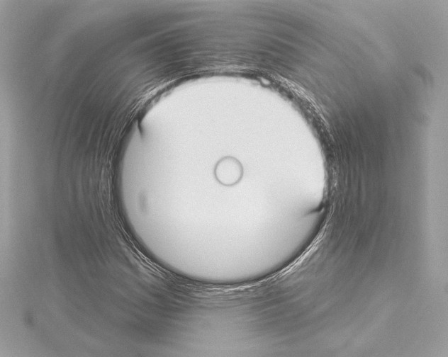 X0000114441161200911271632