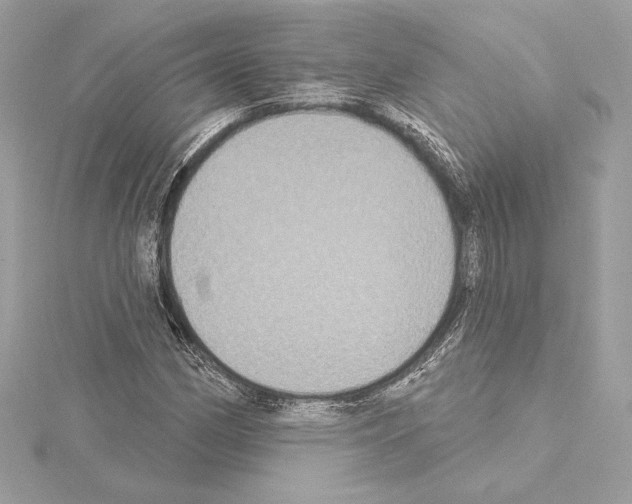 X0000114441162200911271632