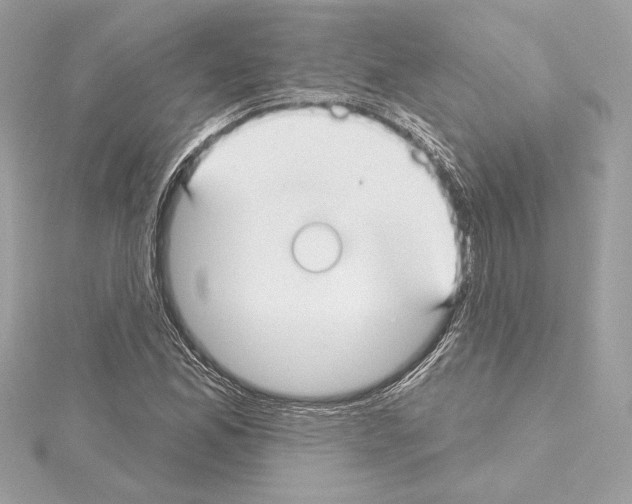 X0000114441165200911271632