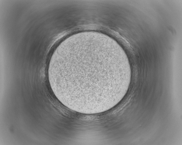 X0000114441166200911271632
