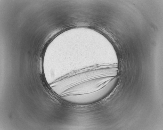 X0000114441171200911271632