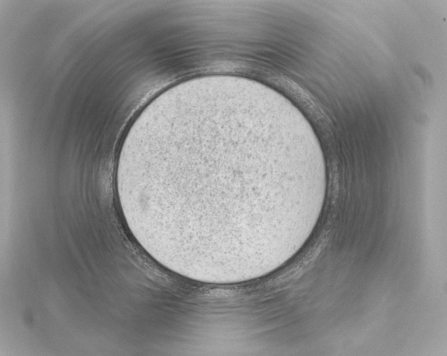 X0000114441178200911271631