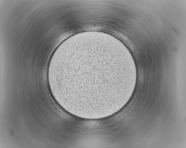 X0000114441186200911271631