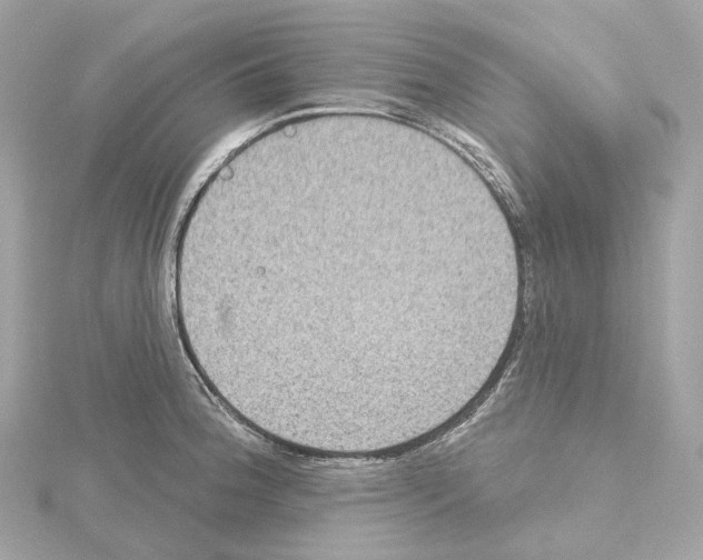 X0000114441188200911271631