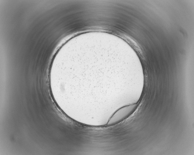 X0000114441192200911271631