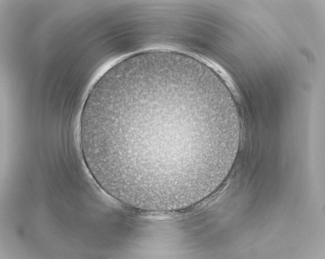 X0000114441199200911271631